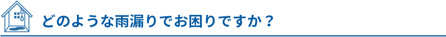 どのような雨漏りでお困りですか? どのような雨漏りでお困りですか?
