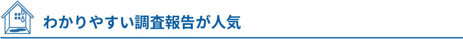わかりやすい調査報告が人気 わかりやすい調査報告が人気